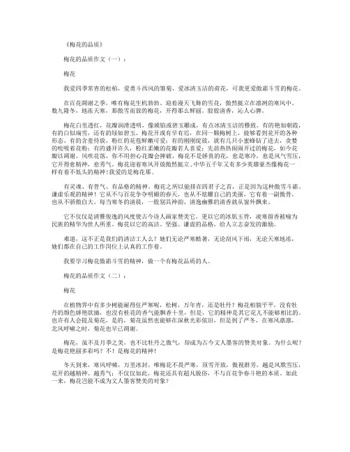 梅花的品质12篇_作文