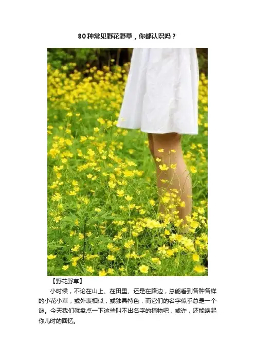 80种常见野花野草，你都认识吗？