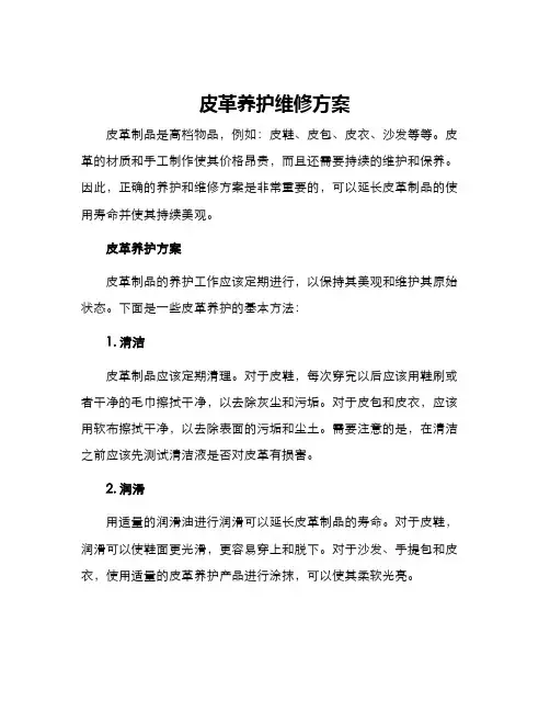 皮革养护维修方案