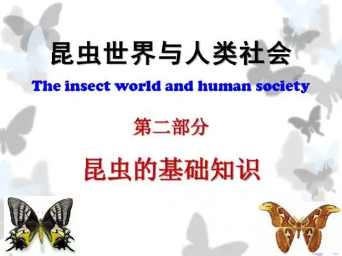 昆虫的基础知识