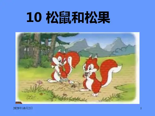 松鼠和松果16PPT课件