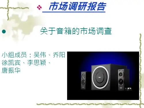 音响市场调研报告