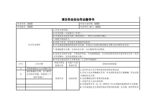 项目安全作业指导书