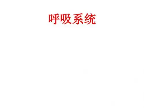 组织胚胎学-呼吸系统