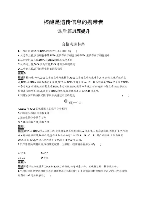 高中生物(新人教版)必修第一册课后习题：核酸是遗传信息的携带者(课后习题)【含答案及解析】