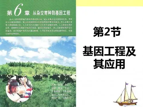 人教版高一生物必修二 6.2 基因工程及其应用 