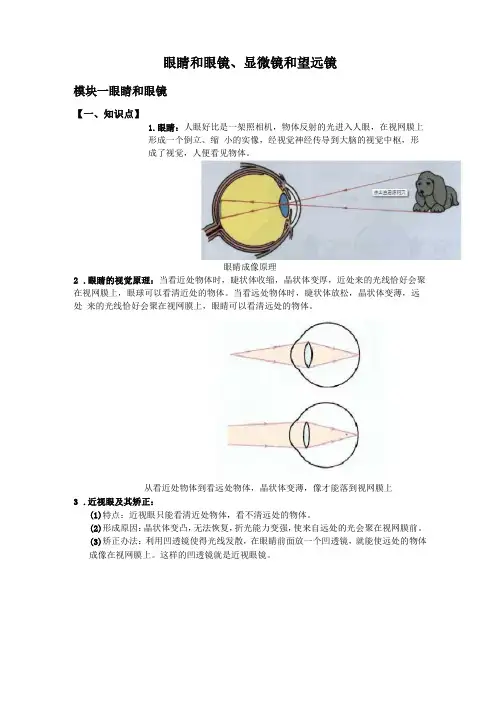 初中物理复习眼睛和眼镜、显微镜和望远镜