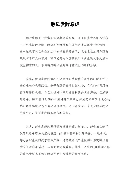 酵母发酵原理