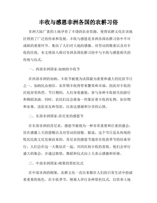 丰收与感恩非洲各国的农耕习俗