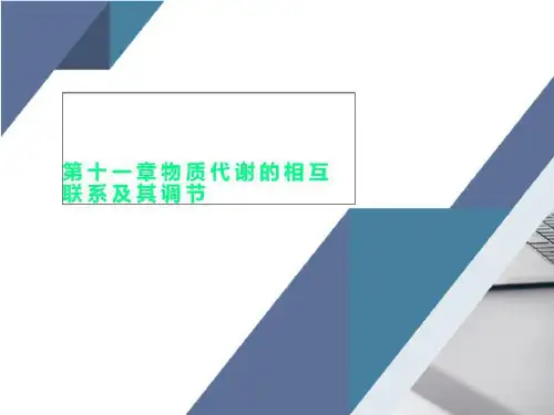 第十一章物质代谢的相互联系及其调节