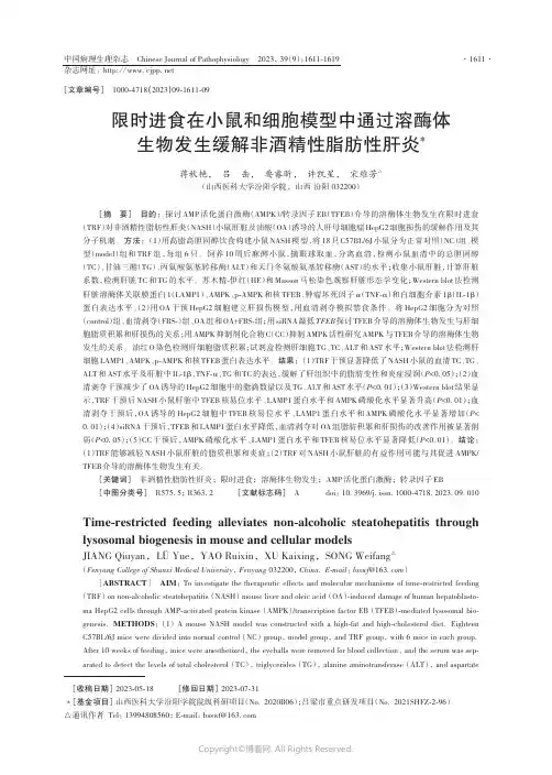 限时进食在小鼠和细胞模型中通过溶酶体生物发生缓解非酒精性脂肪性肝炎