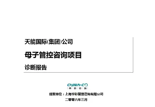 [企业诊断]XX国际集团母子管控诊断报告—华彩咨询集团经典案例下载