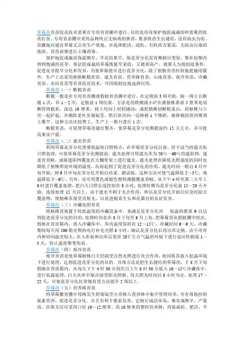 草莓苗育苗促花技术