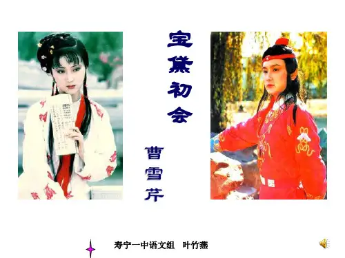 高中语文第三册《第三单元熟悉的陌生人11宝黛初会》46PPT课件
