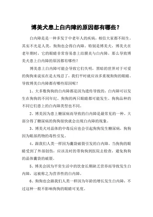 博美犬患上白内障的原因都有哪些？