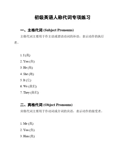 初级英语人称代词专项练习