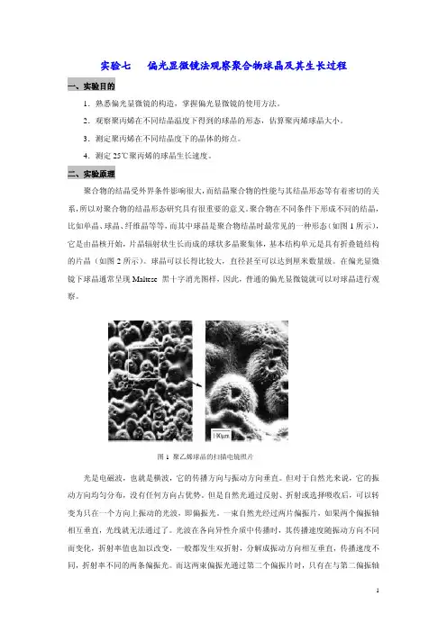 偏光显微镜法观察聚合物球晶及其生长过程-高分子物理-实验7-07
