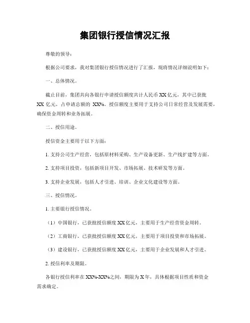 集团银行授信情况汇报