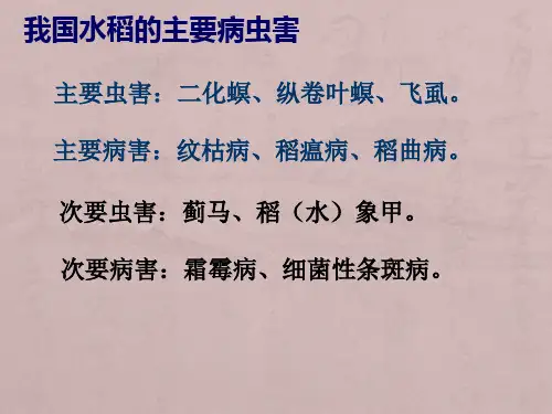 水稻主要病虫害及其防治技术