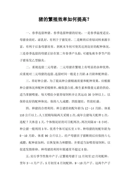 猪繁殖效率如何提高？