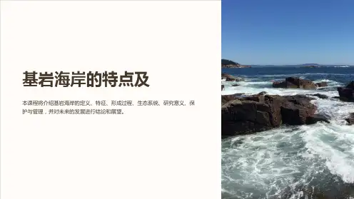 《基岩海岸的特点及》课件