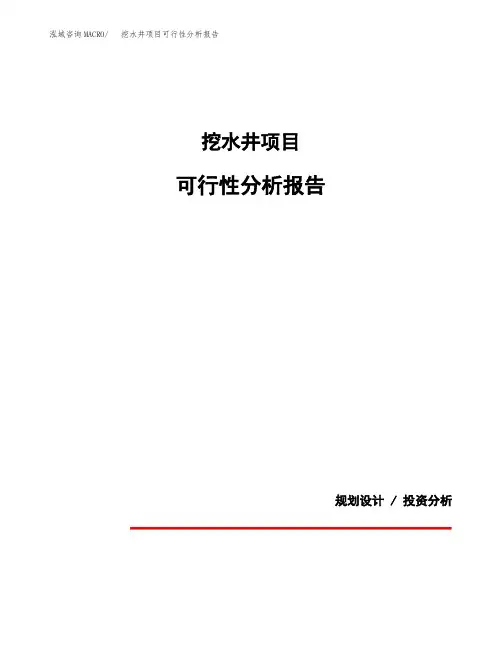 挖水井项目可行性分析报告(模板参考范文)