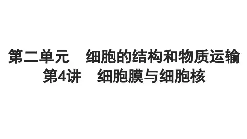 高考生物一轮复习必修1第二单元细胞的结构和物质运输第4讲细胞膜与细胞核课件