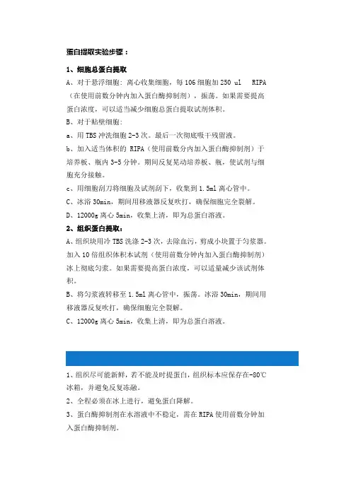 蛋白提取实验步骤