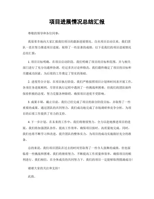 项目进展情况总结汇报