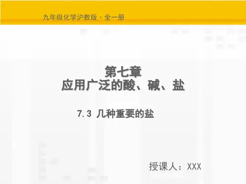 沪教版九年级下册化学课件：7.3 几种重要的盐