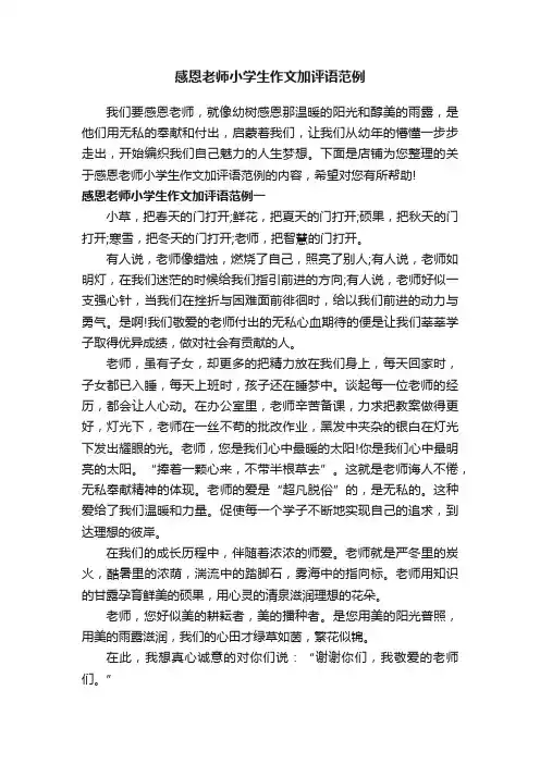 感恩老师小学生作文加评语范例