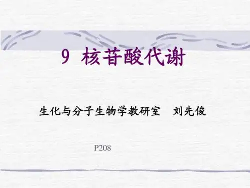 第8章.核苷酸代谢