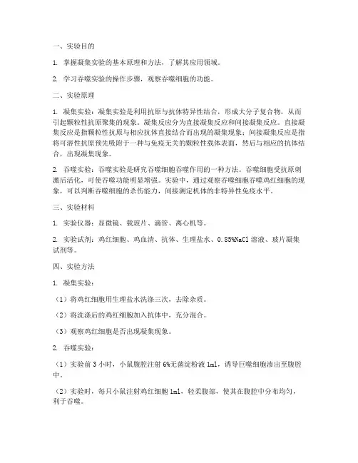 凝集实验_吞噬实验报告
