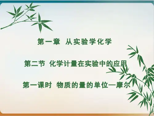 《物质的量》实用ppt人教
