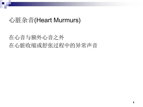 心脏杂音PPT课件
