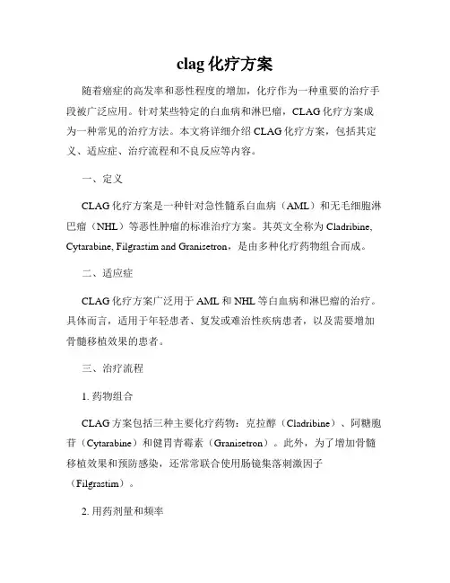 clag化疗方案