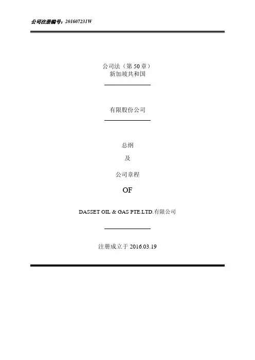 新加坡公司章程-精品