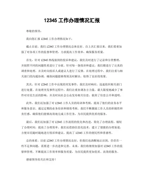 12345工作办理情况汇报