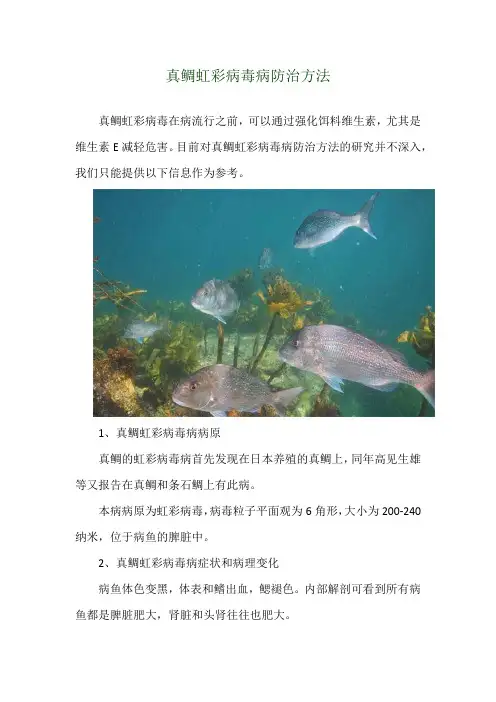 真鲷虹彩病毒病防治方法