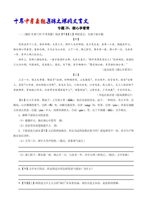 专题28：湖心亭看雪(教师版)-十年(2013-2022)中考真题集锦之课内文言文(全国通