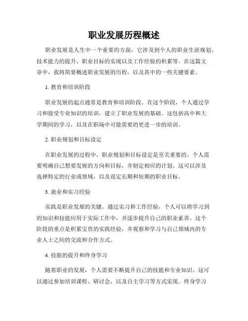 职业发展历程概述