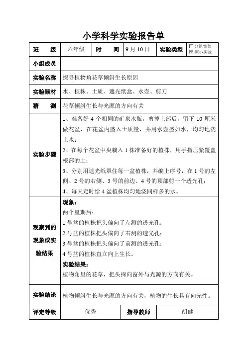 大象版六年级科学上册实验报告单资料