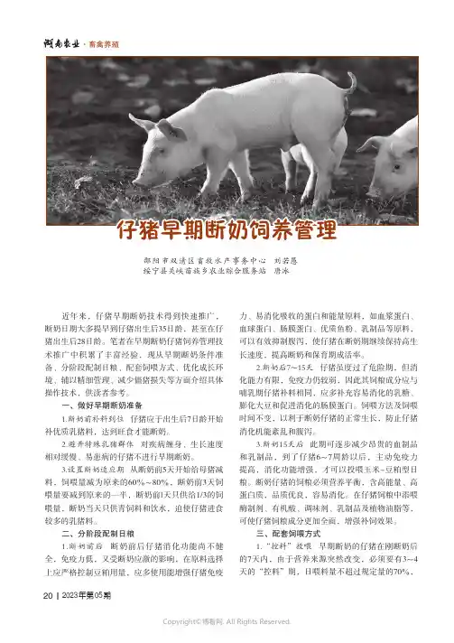 仔猪早期断奶饲养管理