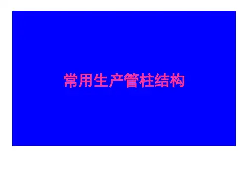 常用生产管柱结构