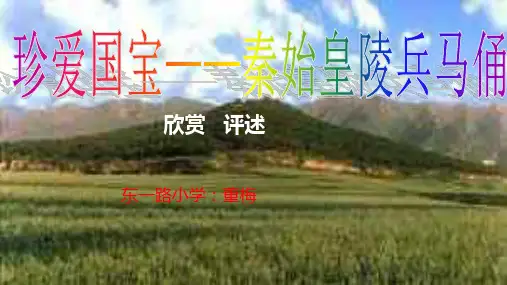 人教新课标美术(四下)20《珍爱国宝——秦始皇陵兵马俑》优秀课件 PPT(43页)