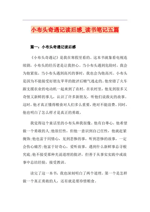 小布头奇遇记读后感_读书笔记五篇