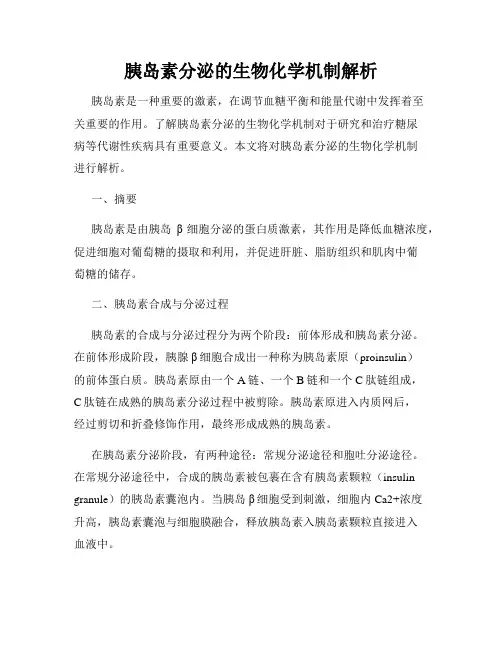 胰岛素分泌的生物化学机制解析