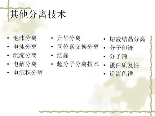泡沫电泳分离技术