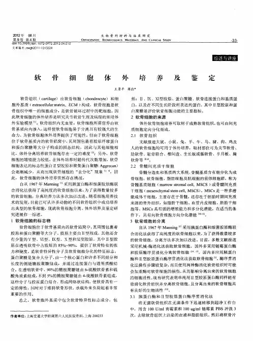软骨细胞体外培养及鉴定