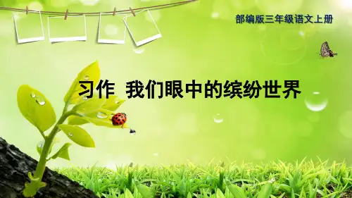 部编版三语上册《第五单元习作：我们眼中的缤纷世界》课件